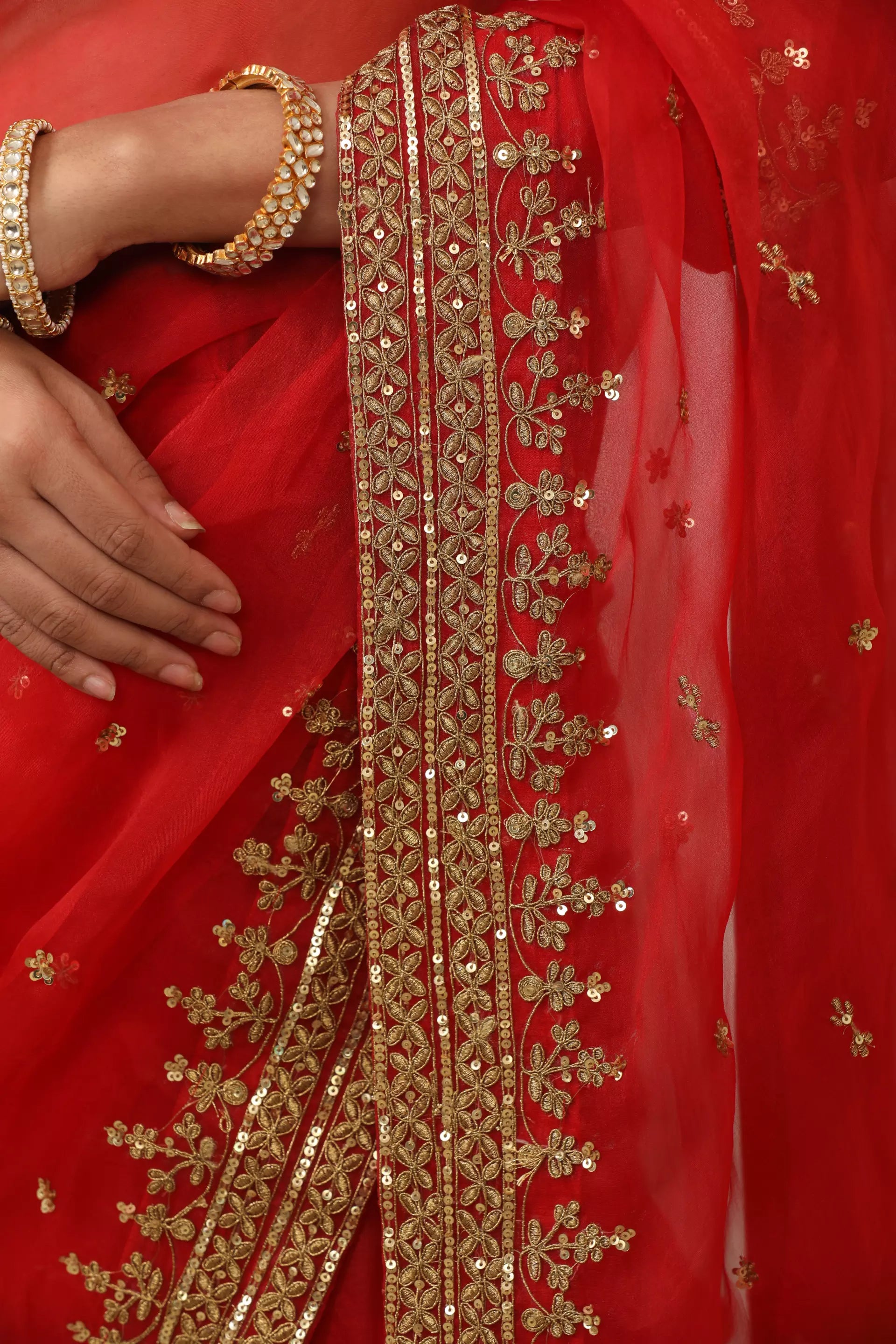 ESHA KOUL - Laal Andaaz Saree Set