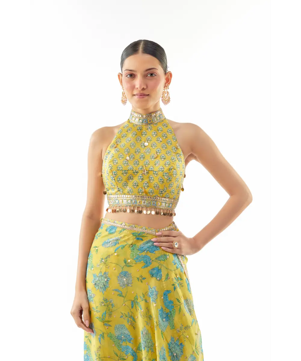 GOPI VAID - Pakhi Sharara saree set