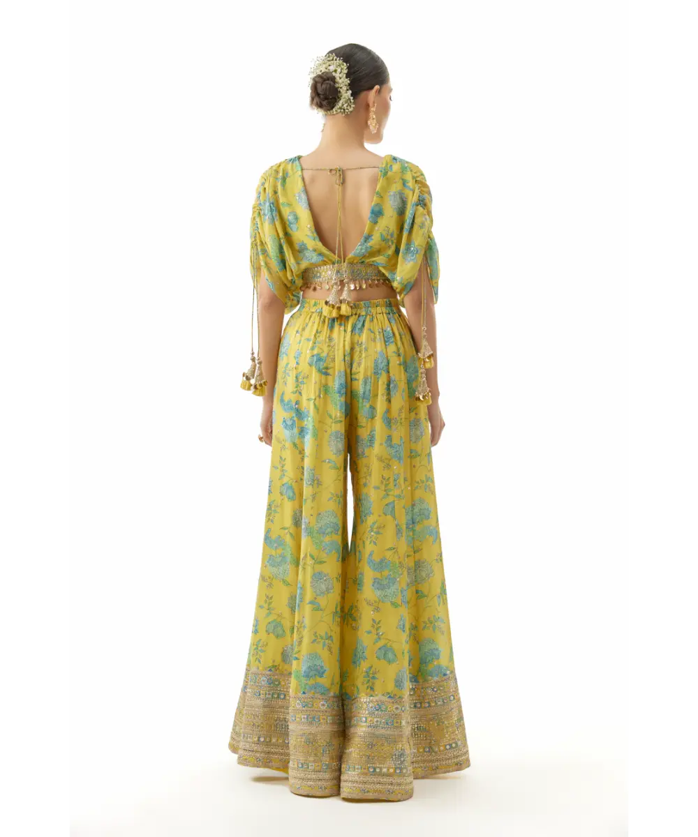 Gopi Vaid - Shivani Pant Set