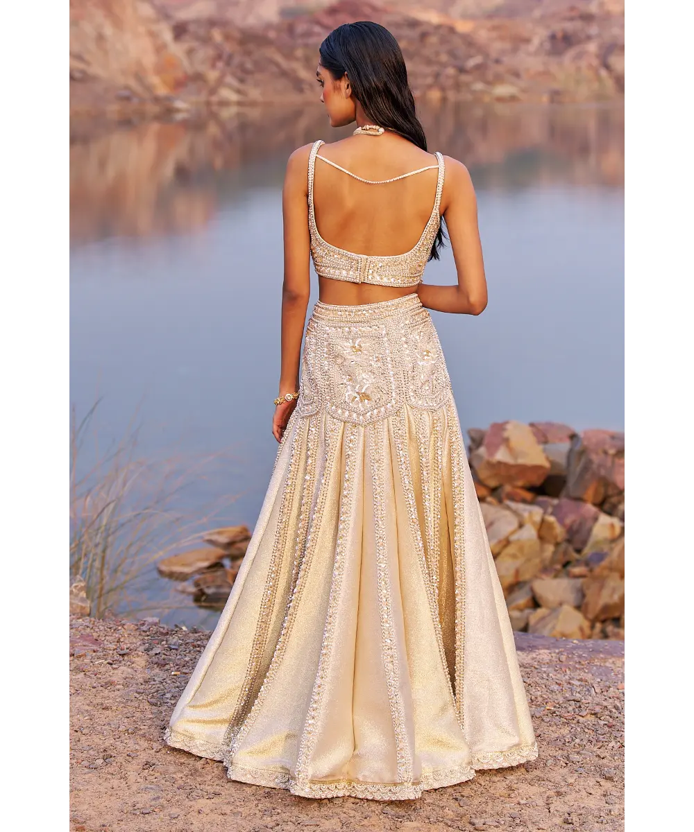 NIDHIKA SHEKHAR- Jalsaa E Firdose Lehenga Set