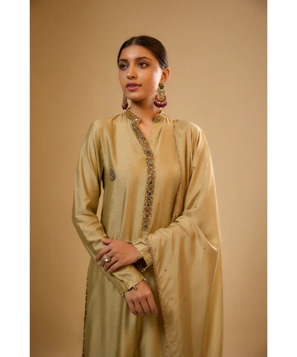 NITI BHOTRA - Nazakat Light Green Applique Kurta Set
