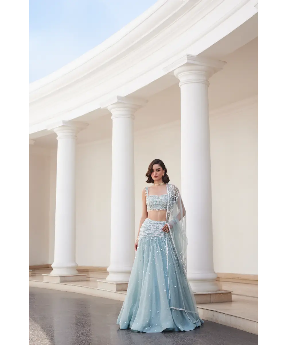 SANYA GULATI- Powder Blue Organza Skirt and Bustier