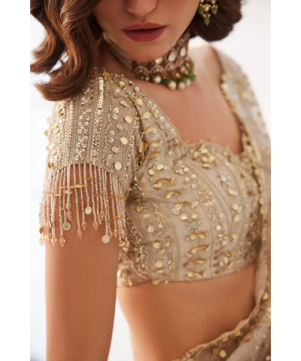 SANYA GULATI - Tissue Pre-draped Saree