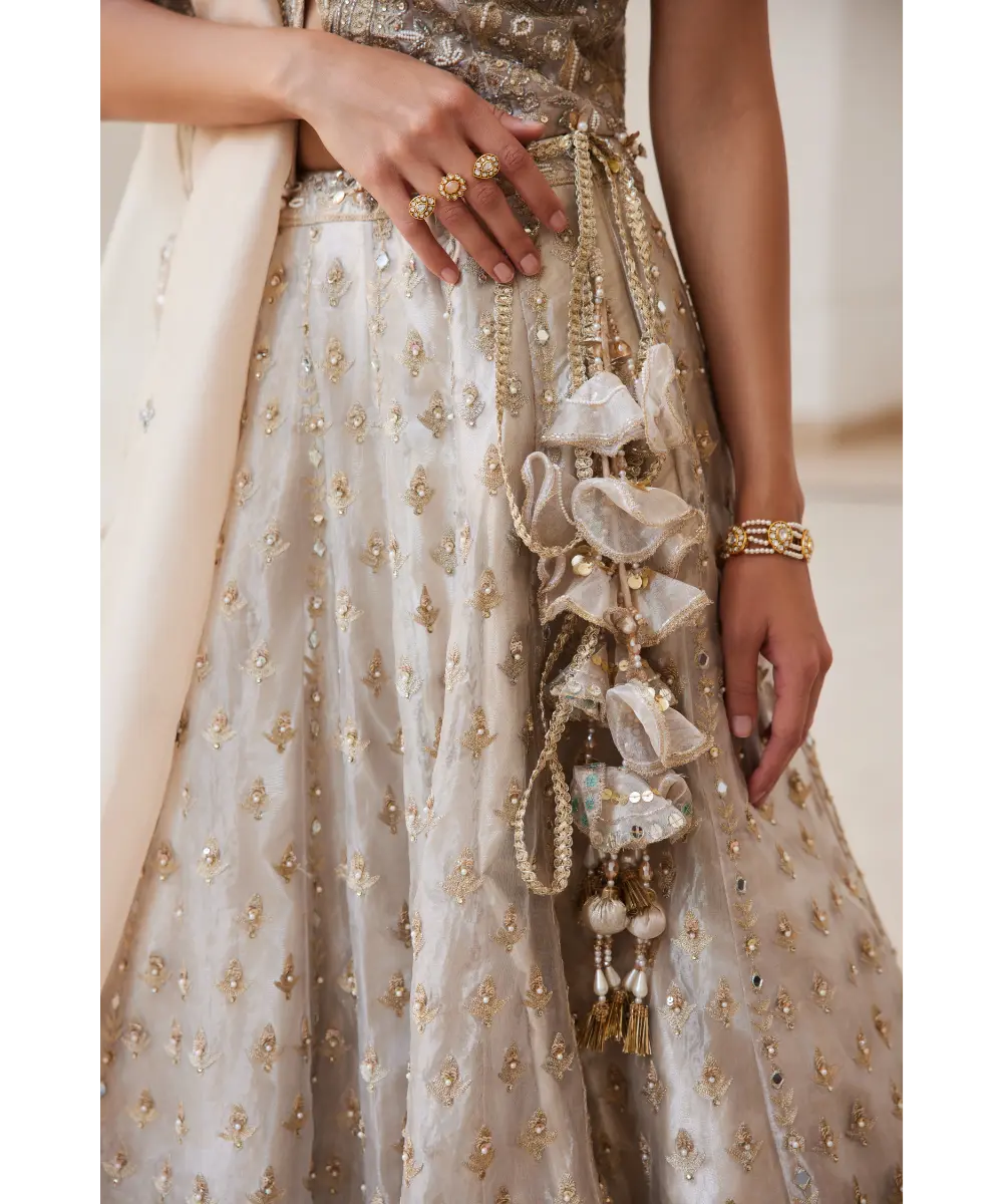 Sanya Gulati - Tissue Lehenga Set