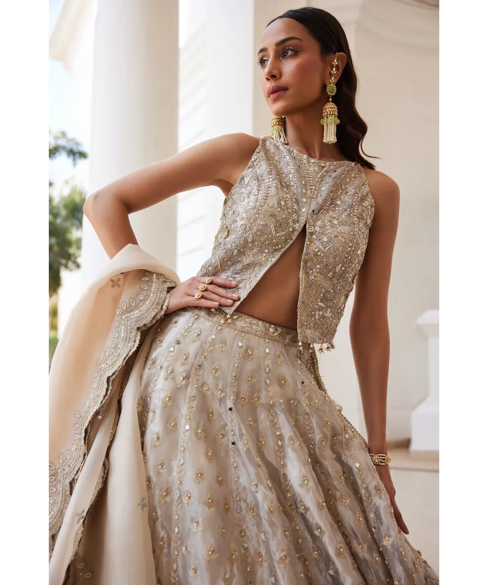 Sanya Gulati - Tissue Lehenga Set