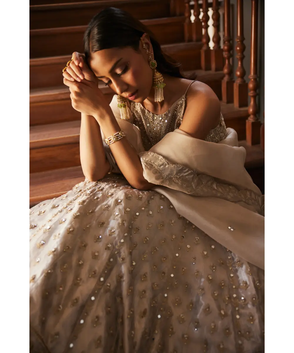 Sanya Gulati - Tissue Lehenga Set