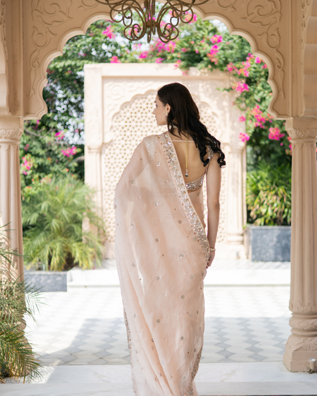Esha Koul - Blush Pink Saree From Mirror