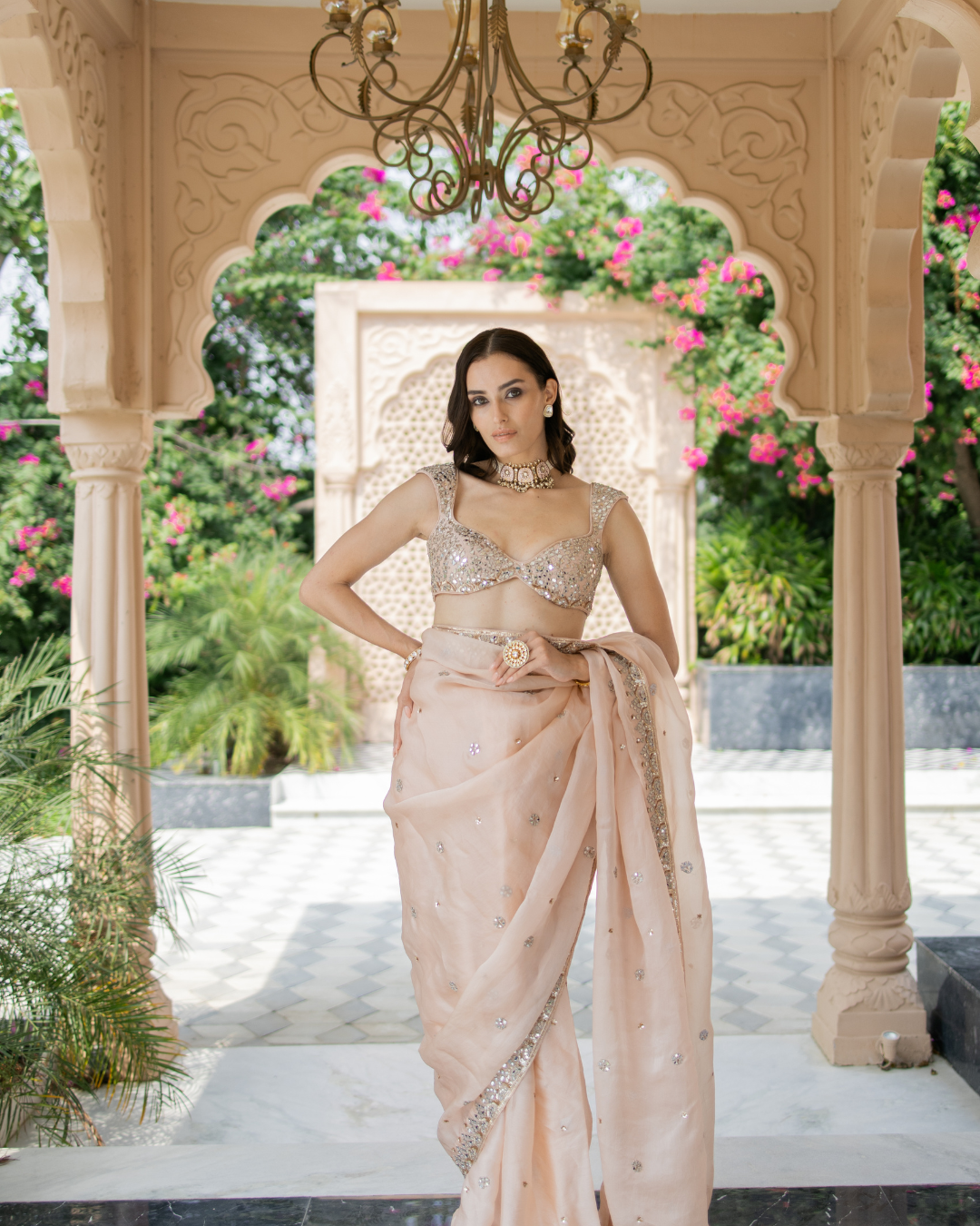 Esha Koul - Blush Pink Saree From Mirror