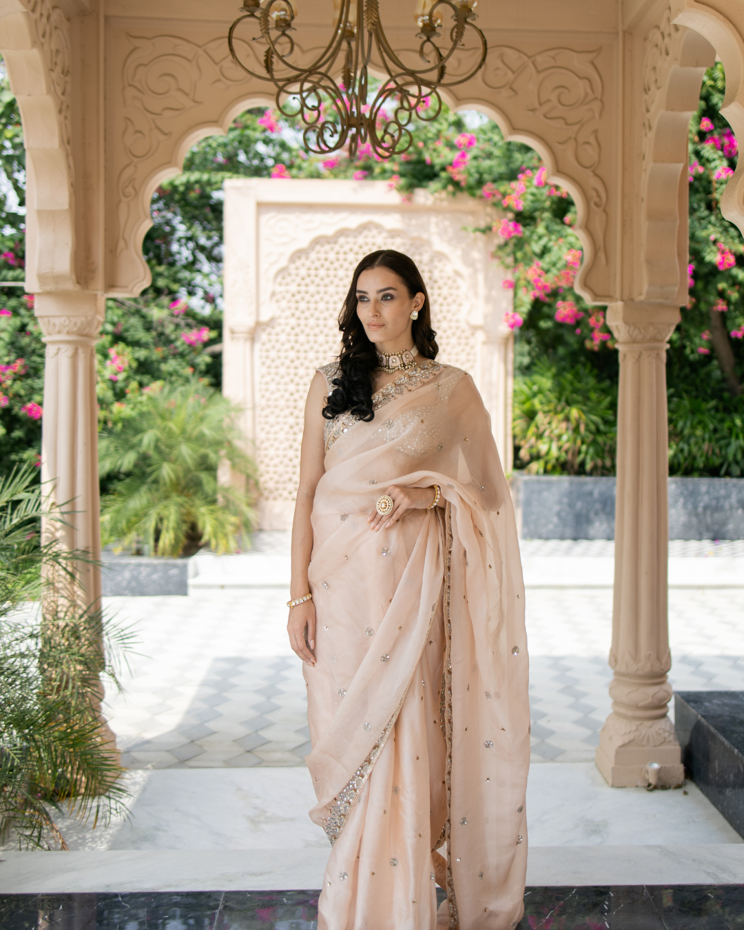 Esha Koul - Blush Pink Saree From Mirror