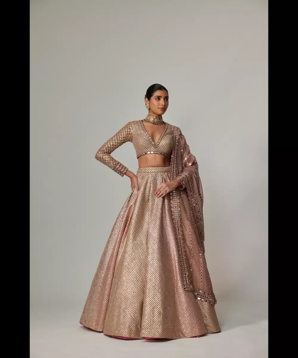 VVANI VATS - Deep beige multicolor Skirt with  V Neck Full Sleeve Top