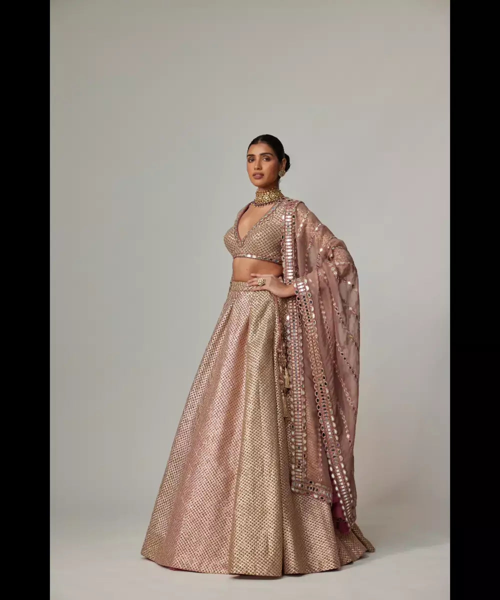 VVANI VATS - Deep beige multicolor Skirt with  V Neck Full Sleeve Top