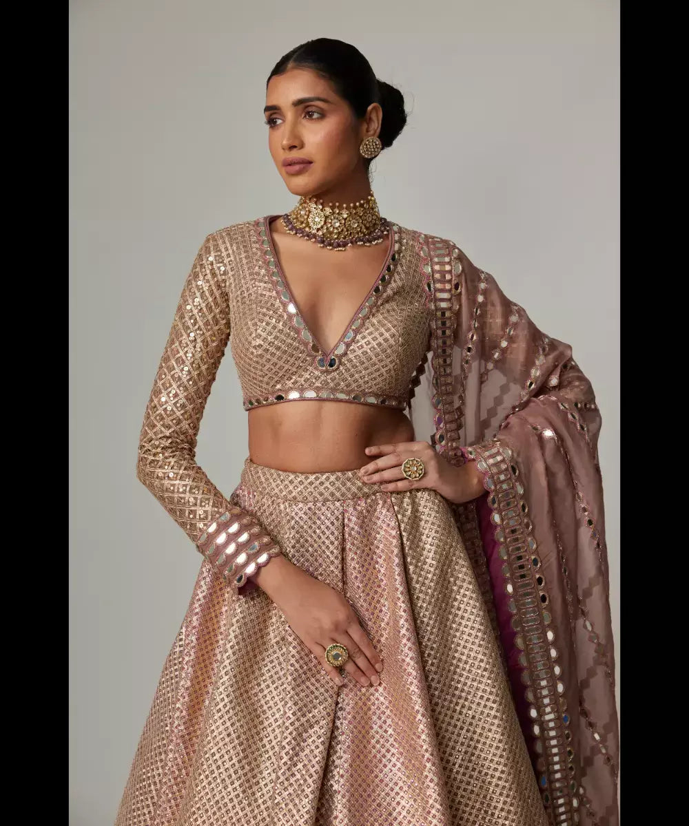 VVANI VATS - Deep beige multicolor Skirt with  V Neck Full Sleeve Top