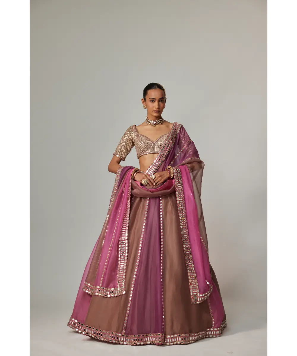 VVANI VATS - Mud mauve multicolor Lehenga with Elbow Sleeve Blouse