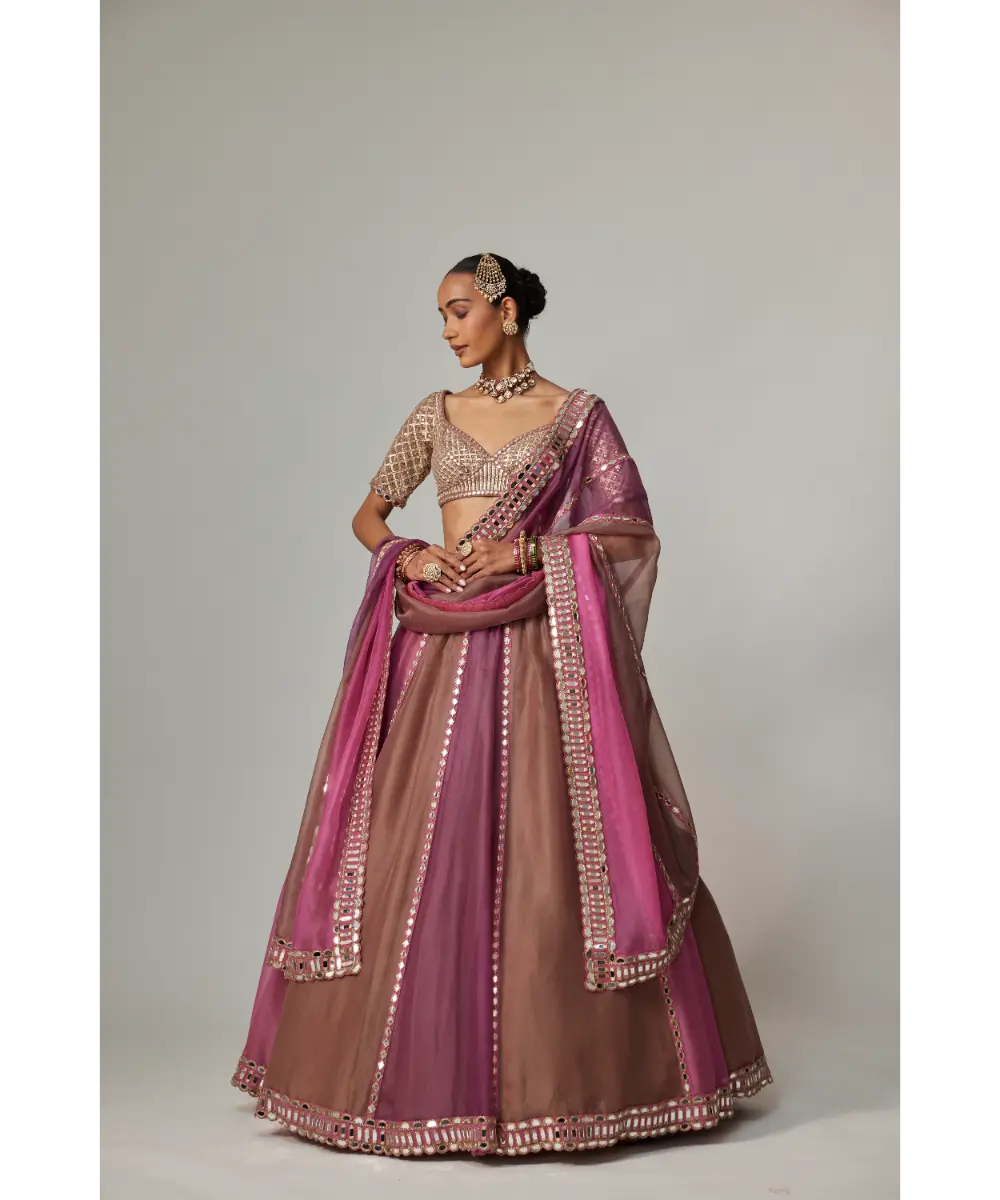 VVANI VATS - Mud mauve multicolor Lehenga with Elbow Sleeve Blouse