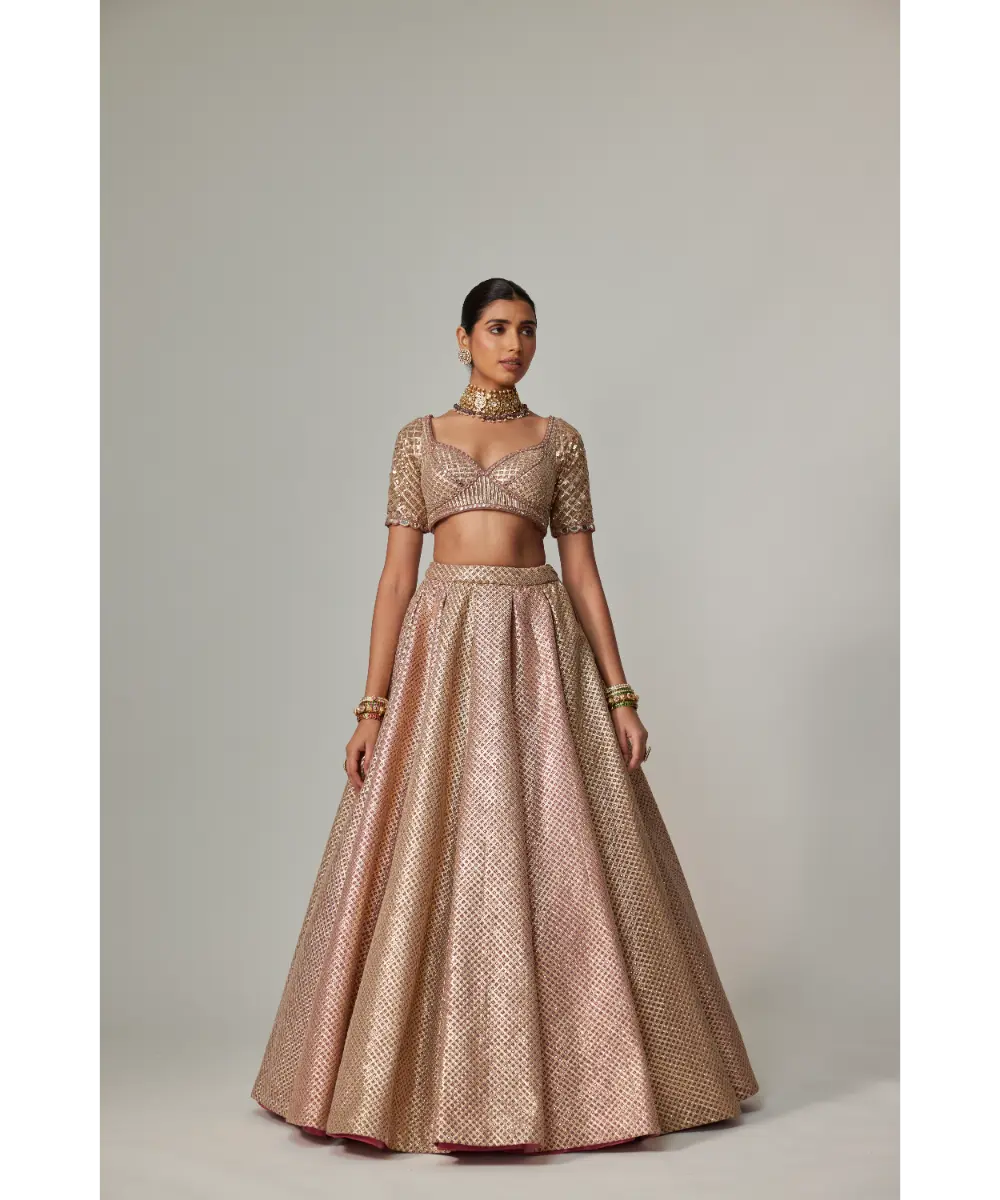 VVANI VATS - Deep beige multicolor Metallic Lehenga Set