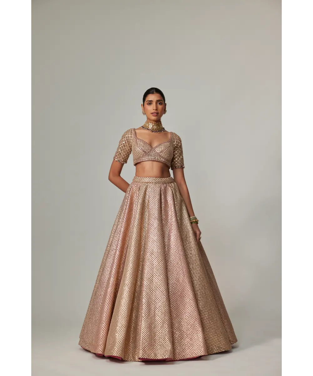 VVANI VATS - Deep beige multicolor Metallic Lehenga Set