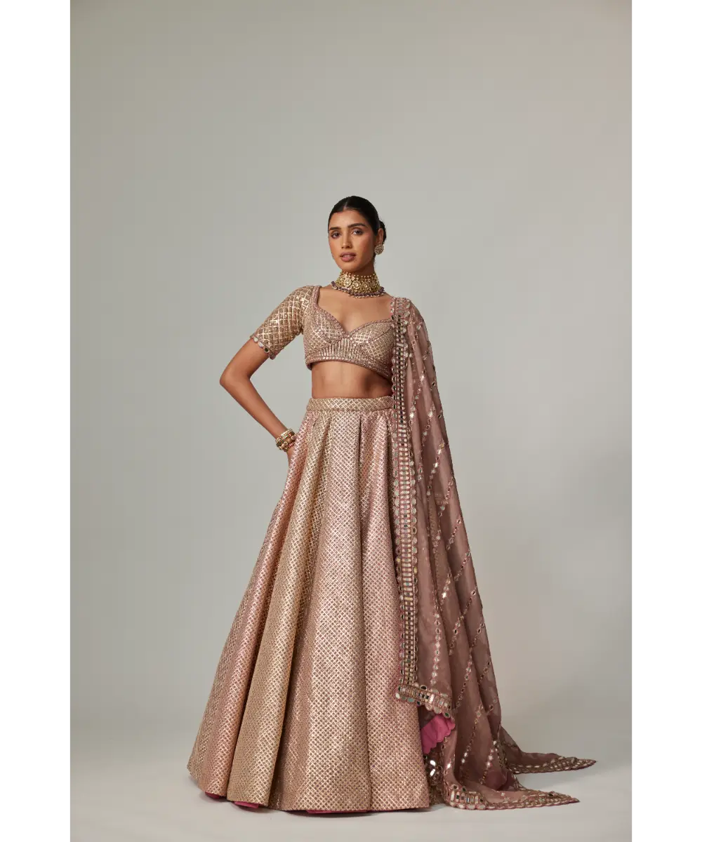 VVANI VATS - Deep beige multicolor Metallic Lehenga Set