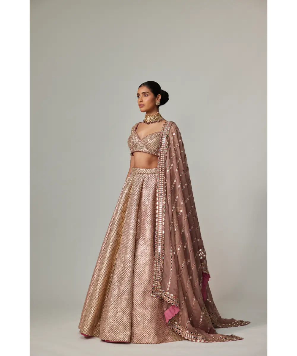 VVANI VATS - Deep beige multicolor Metallic Lehenga Set