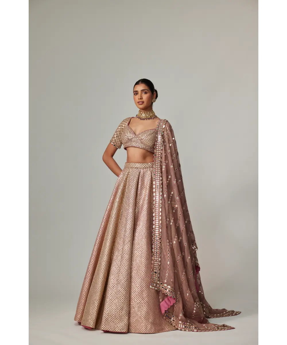 VVANI VATS - Deep beige multicolor Metallic Lehenga Set