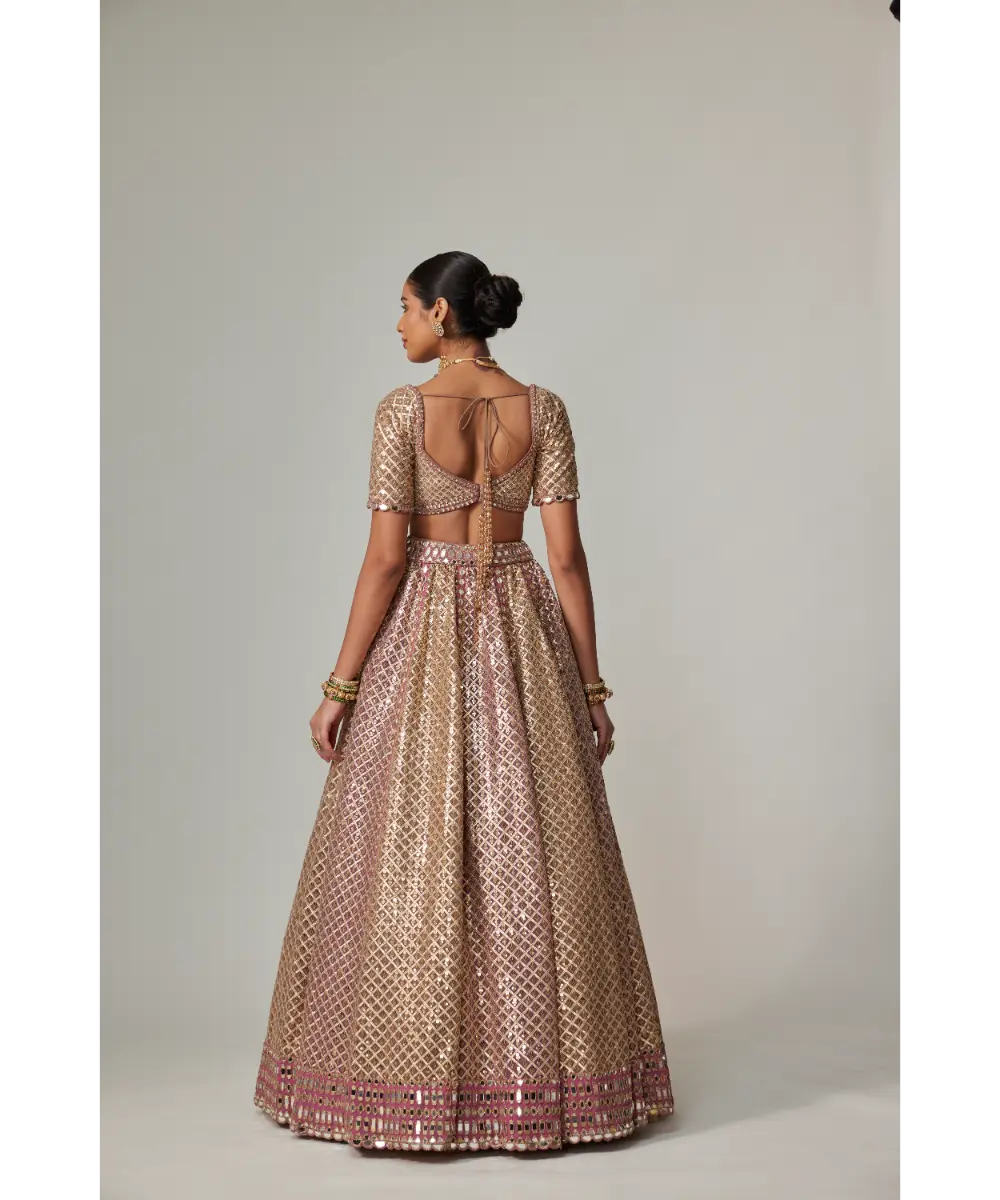 VVANI VATS - Deep beige multicolor Metallic Lehenga with Elbow Blouse