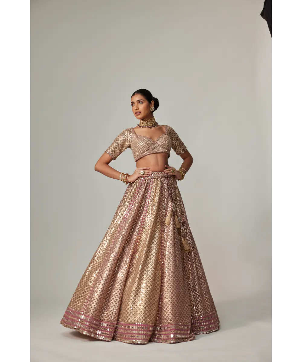 VVANI VATS - Deep beige multicolor Metallic Lehenga with Elbow Blouse