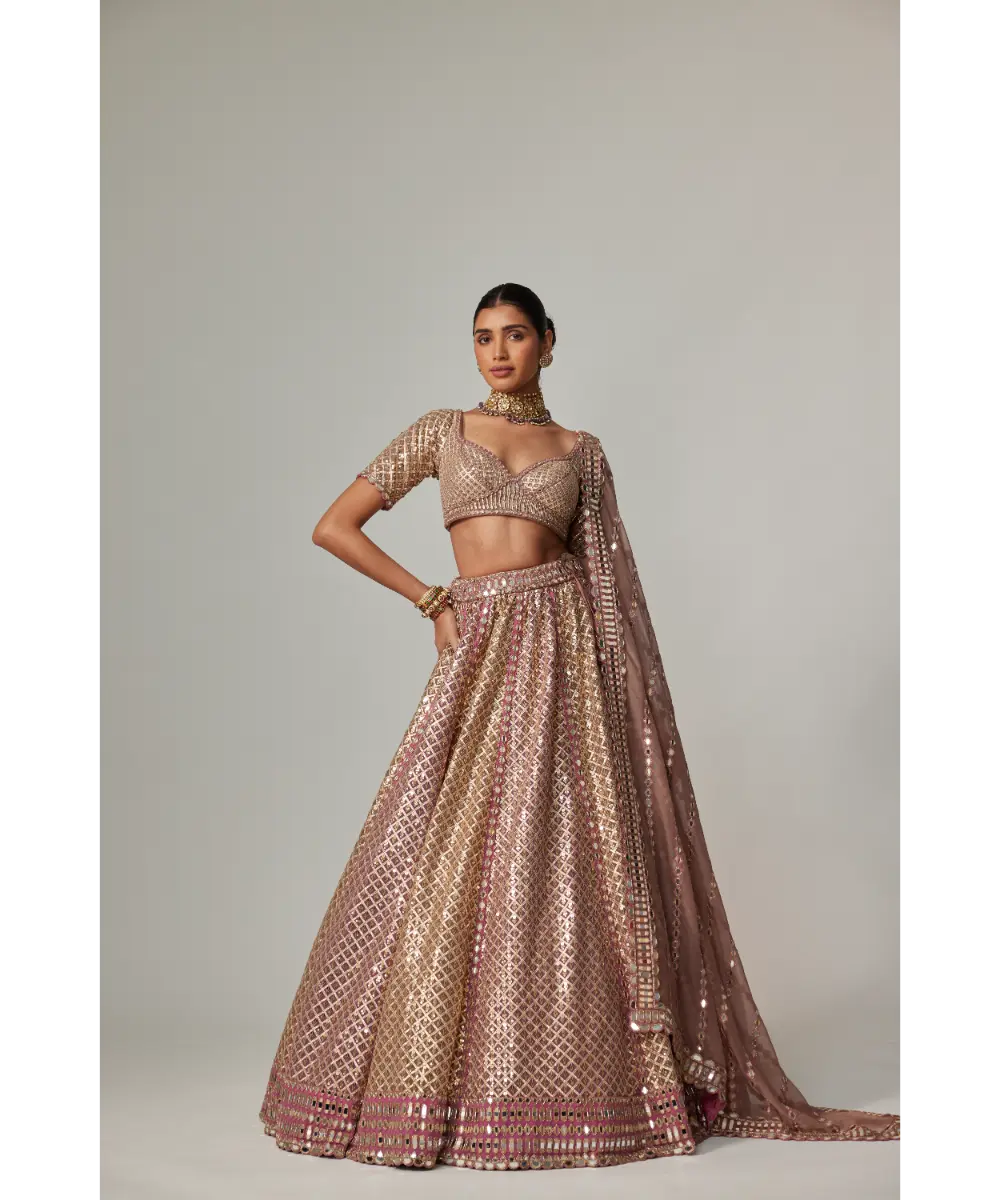 VVANI VATS - Deep beige multicolor Metallic Lehenga with Elbow Blouse