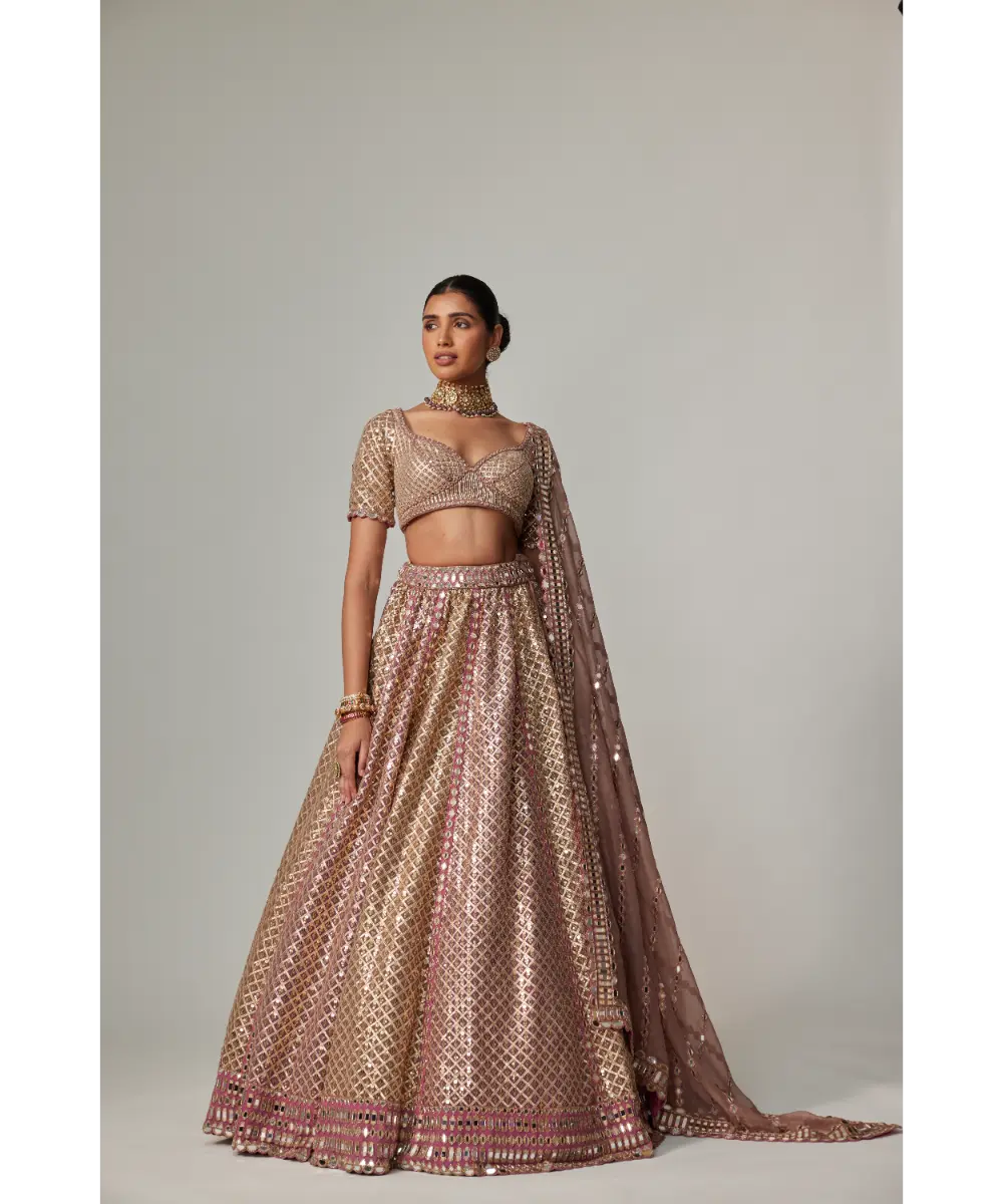 VVANI VATS - Deep beige multicolor Metallic Lehenga with Elbow Blouse