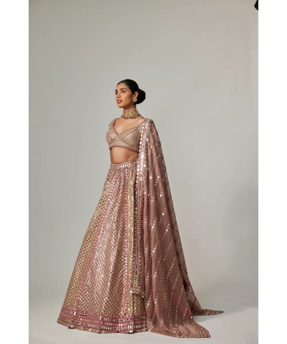 VVANI VATS - Deep beige multicolor Metallic Lehenga with Elbow Blouse