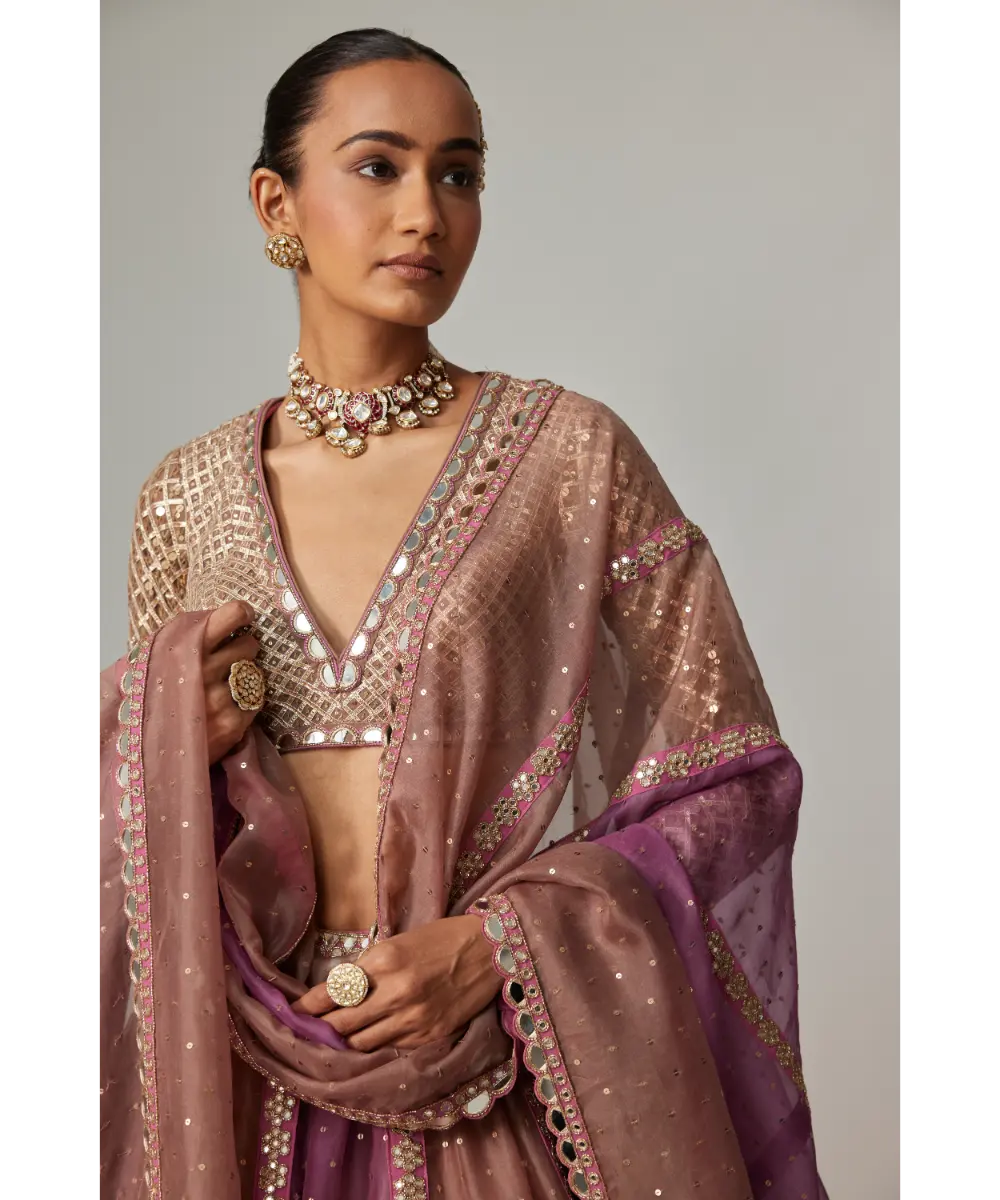 VVANI VATS - Mud mauve multicolor Chita Sequin Scattered Lehenga Set with V neck Full Sleeve
