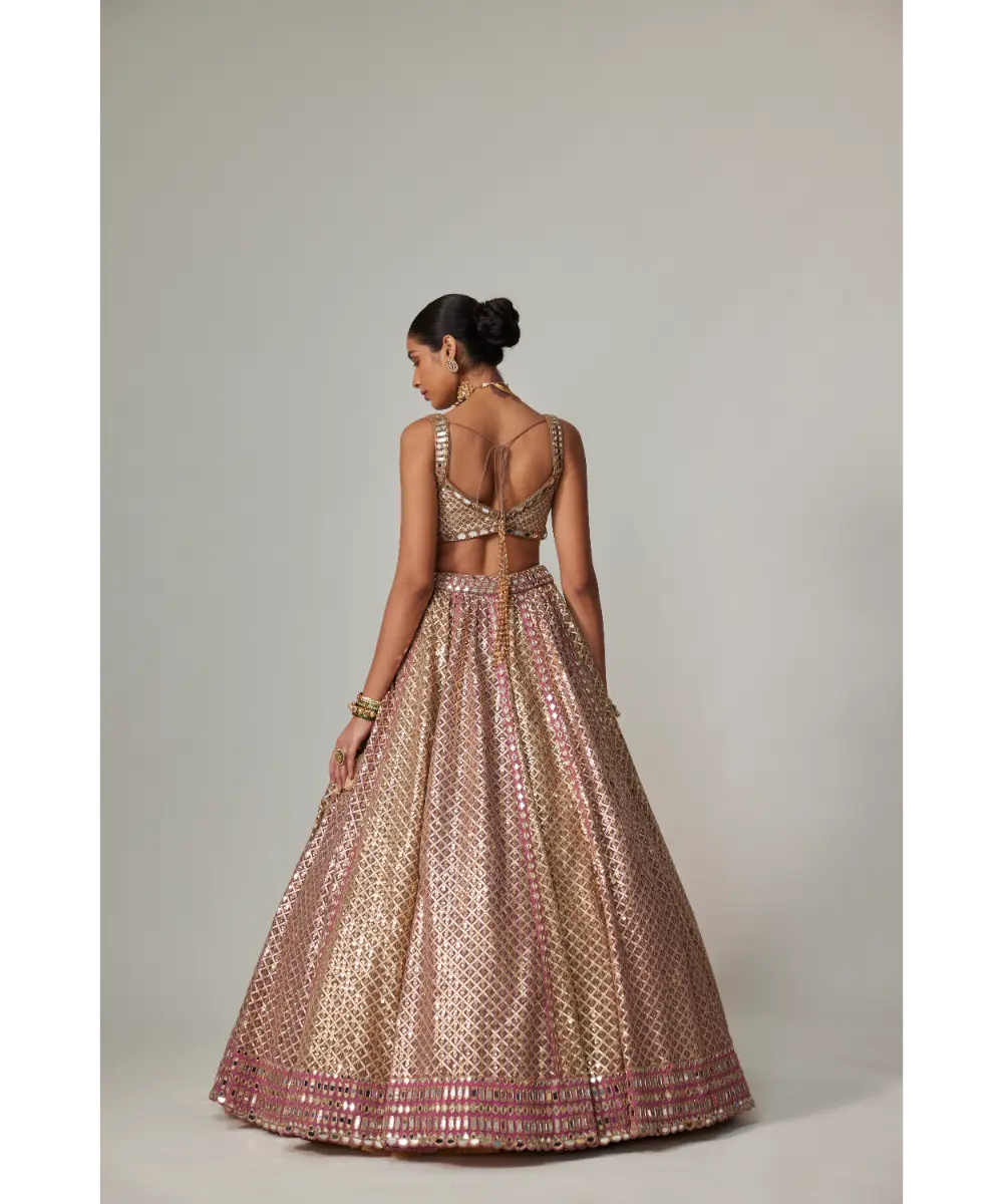 VVANI VATS - Deep beige multicolor Metallic Lehenga with Squire Neck Blouse