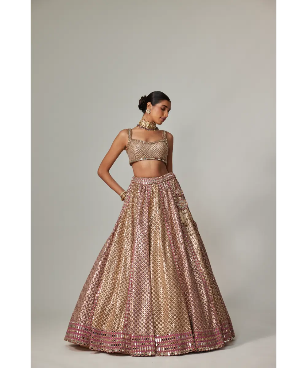 VVANI VATS - Deep beige multicolor Metallic Lehenga with Squire Neck Blouse