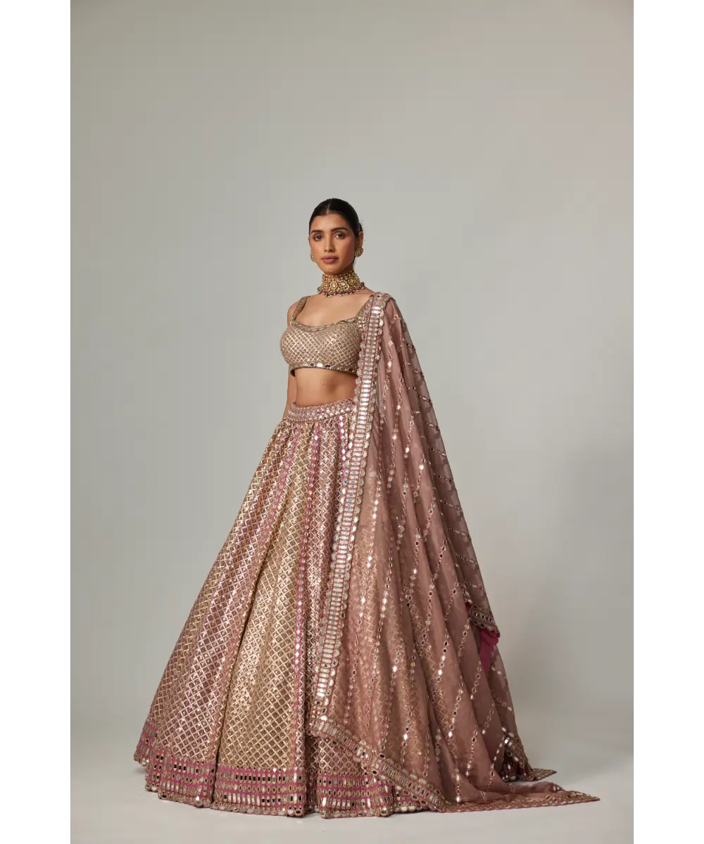 VVANI VATS - Deep beige multicolor Metallic Lehenga with Squire Neck Blouse