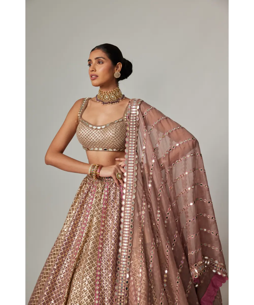 VVANI VATS - Deep beige multicolor Metallic Lehenga with Squire Neck Blouse