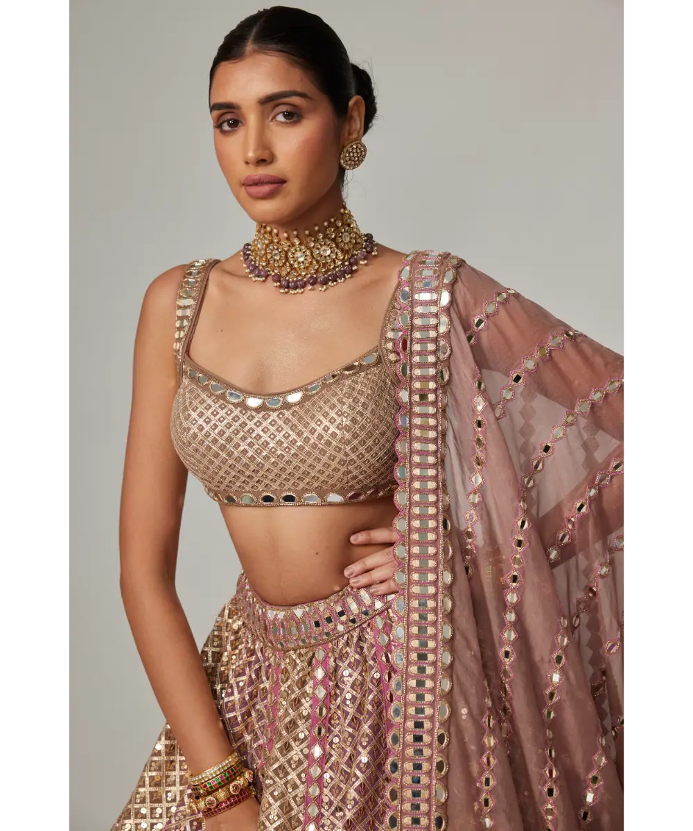 VVANI VATS - Deep beige multicolor Metallic Lehenga with Squire Neck Blouse