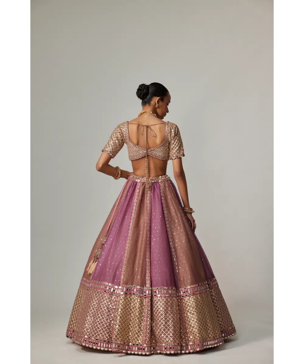 VVANI VATS - Mud mauve multicolor Sequin Scatter Lehenga with Elbow Sleeve Blouse