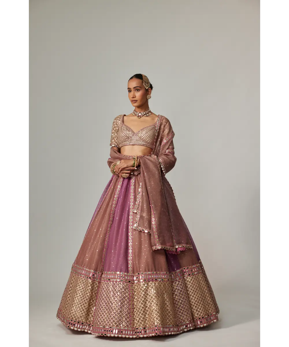 VVANI VATS - Mud mauve multicolor Sequin Scatter Lehenga with Elbow Sleeve Blouse