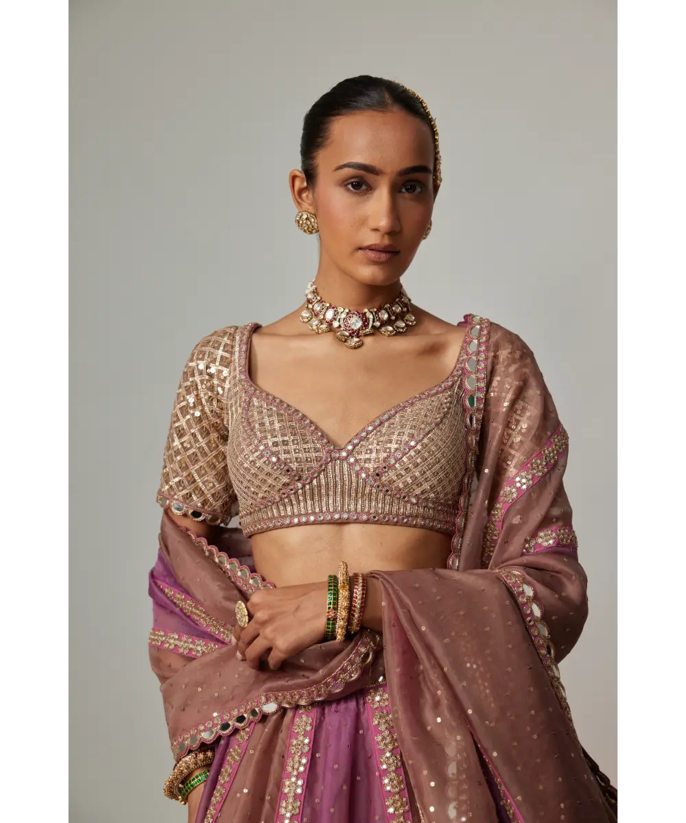VVANI VATS - Mud mauve multicolor Sequin Scatter Lehenga with Elbow Sleeve Blouse