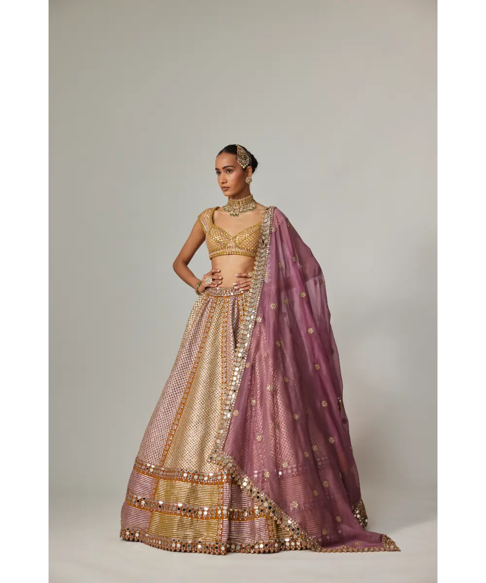 VVANI VATS - Mustad multicolor Heavy Metallic Lehenga with Mud Mauve Dupatta