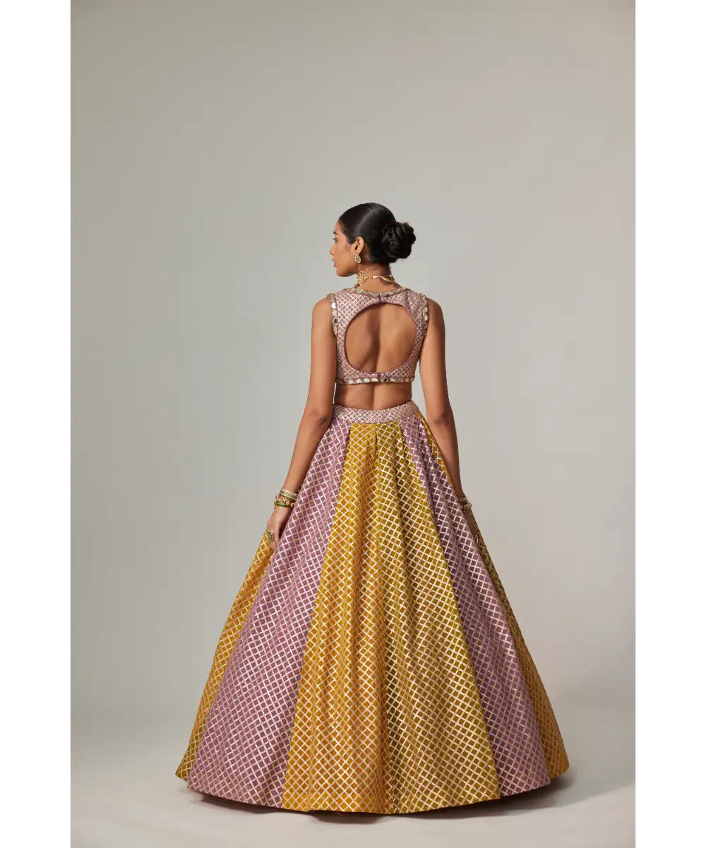 VVANI VATS - Mustard multicolor Crop Top with Skirt