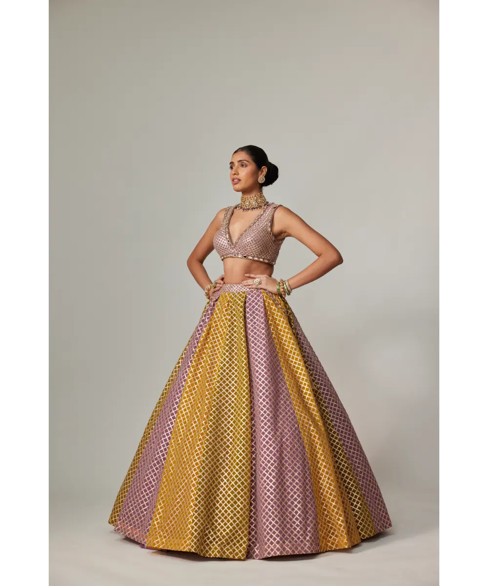 VVANI VATS - Mustard multicolor Crop Top with Skirt