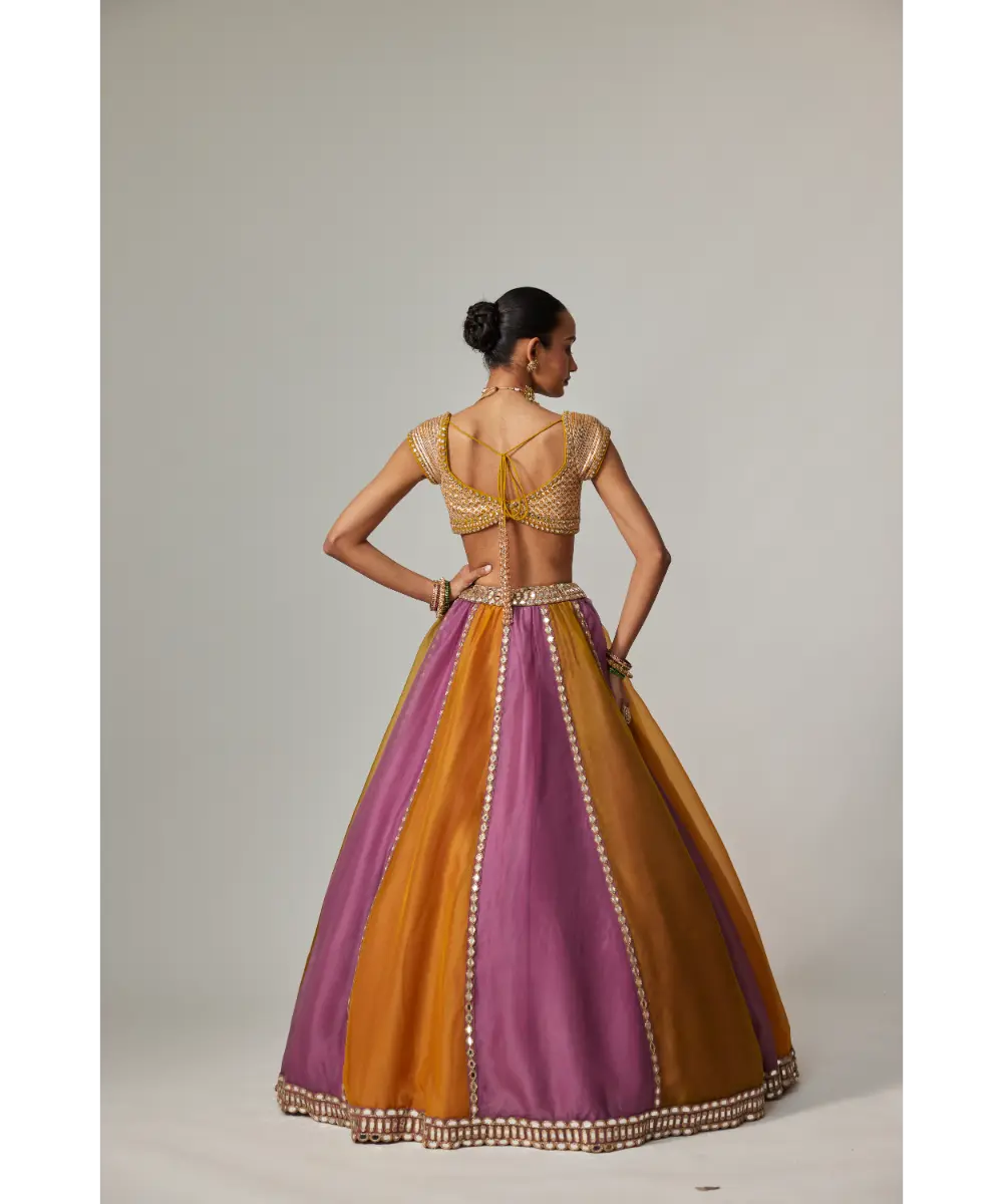 VVANI VATS - Mustard multicolor Liner Lehenga with Cap Sleeve blouse