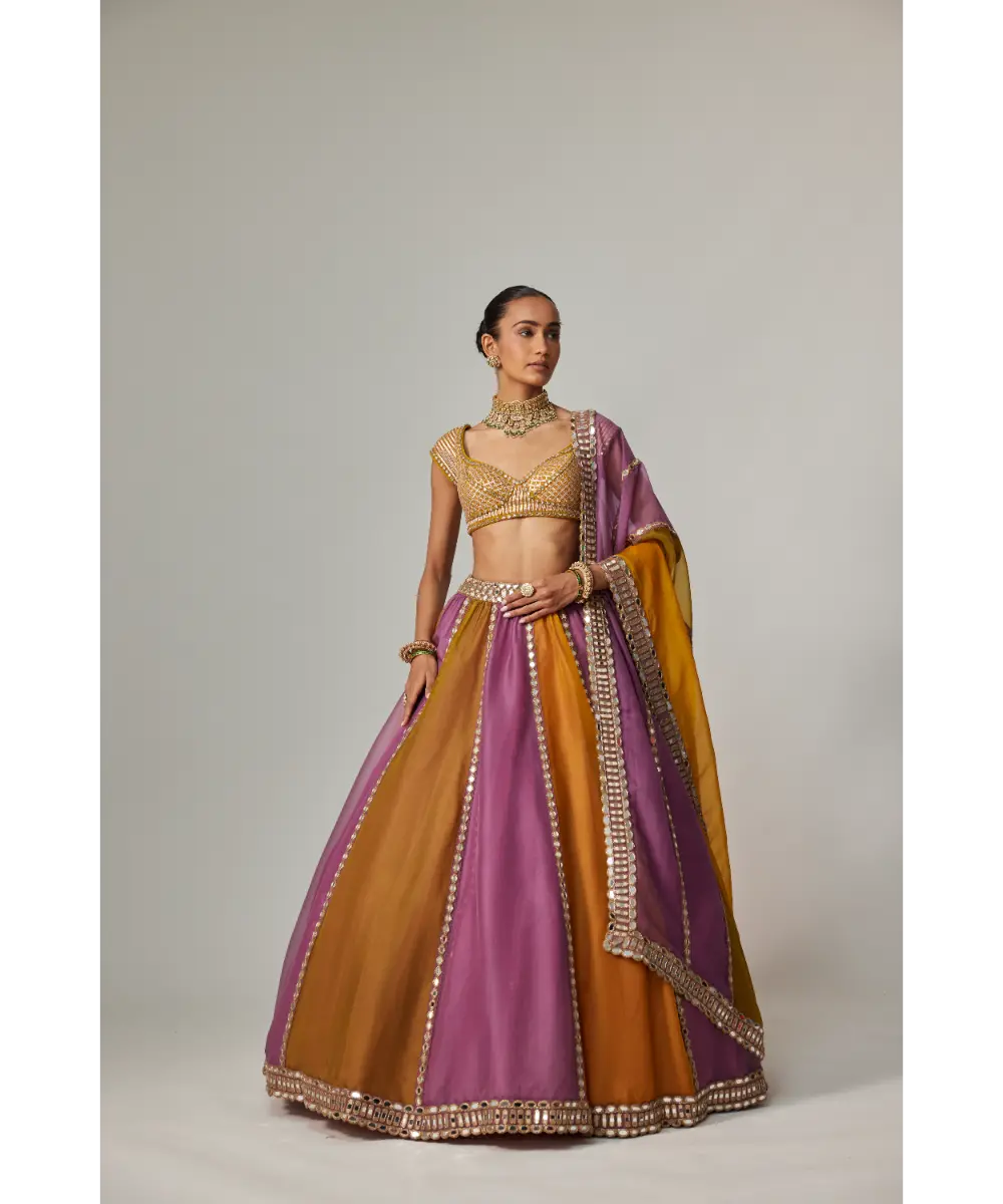 VVANI VATS - Mustard multicolor Liner Lehenga with Cap Sleeve blouse