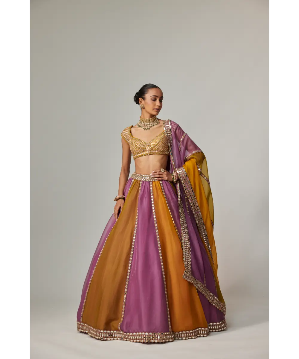 VVANI VATS - Mustard multicolor Liner Lehenga with Cap Sleeve blouse