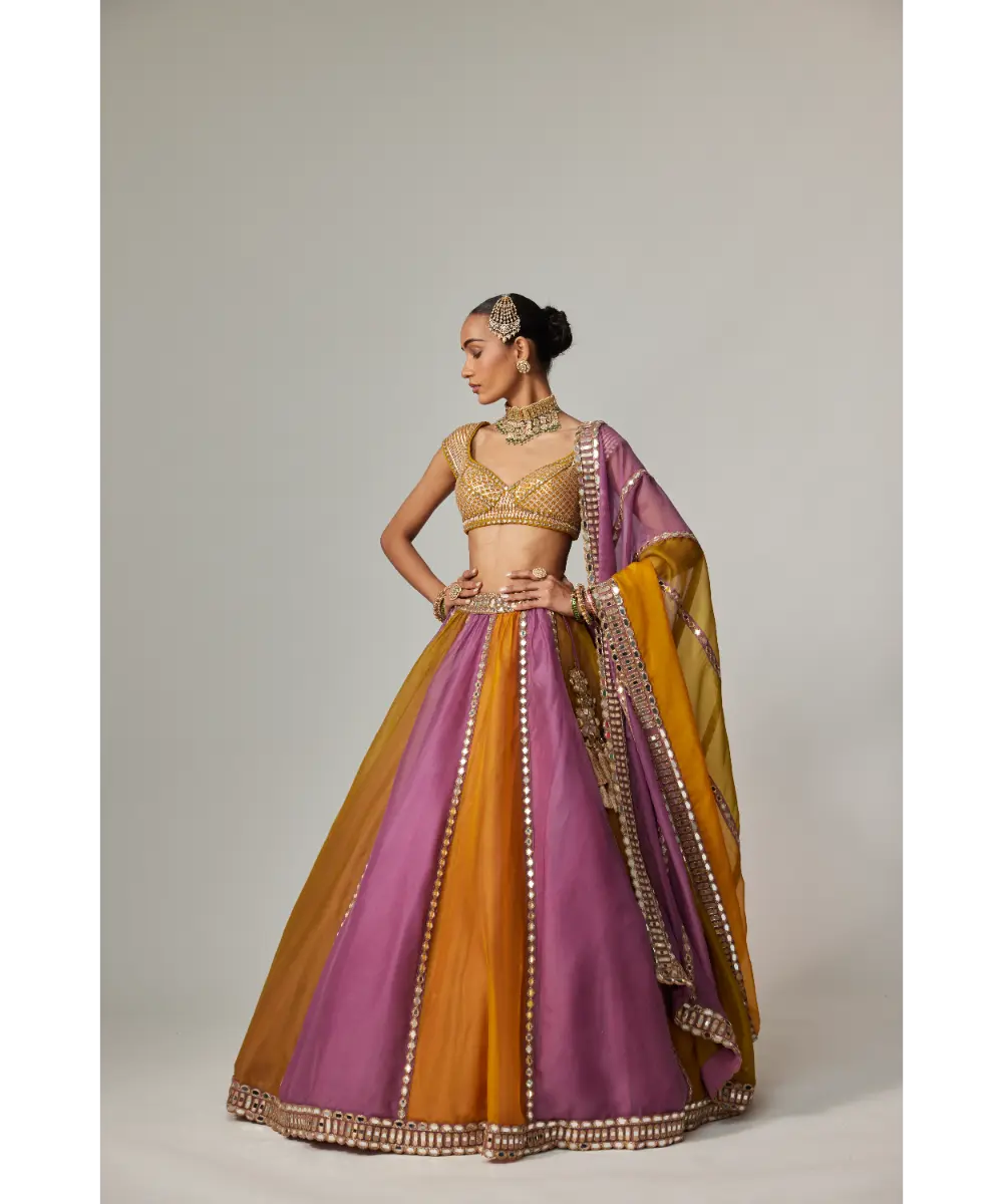 VVANI VATS - Mustard multicolor Liner Lehenga with Cap Sleeve blouse