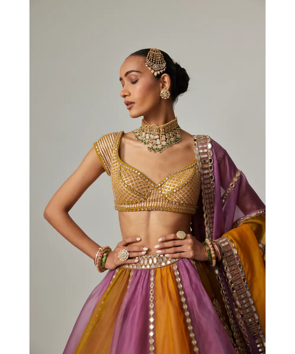 VVANI VATS - Mustard multicolor Liner Lehenga with Cap Sleeve blouse