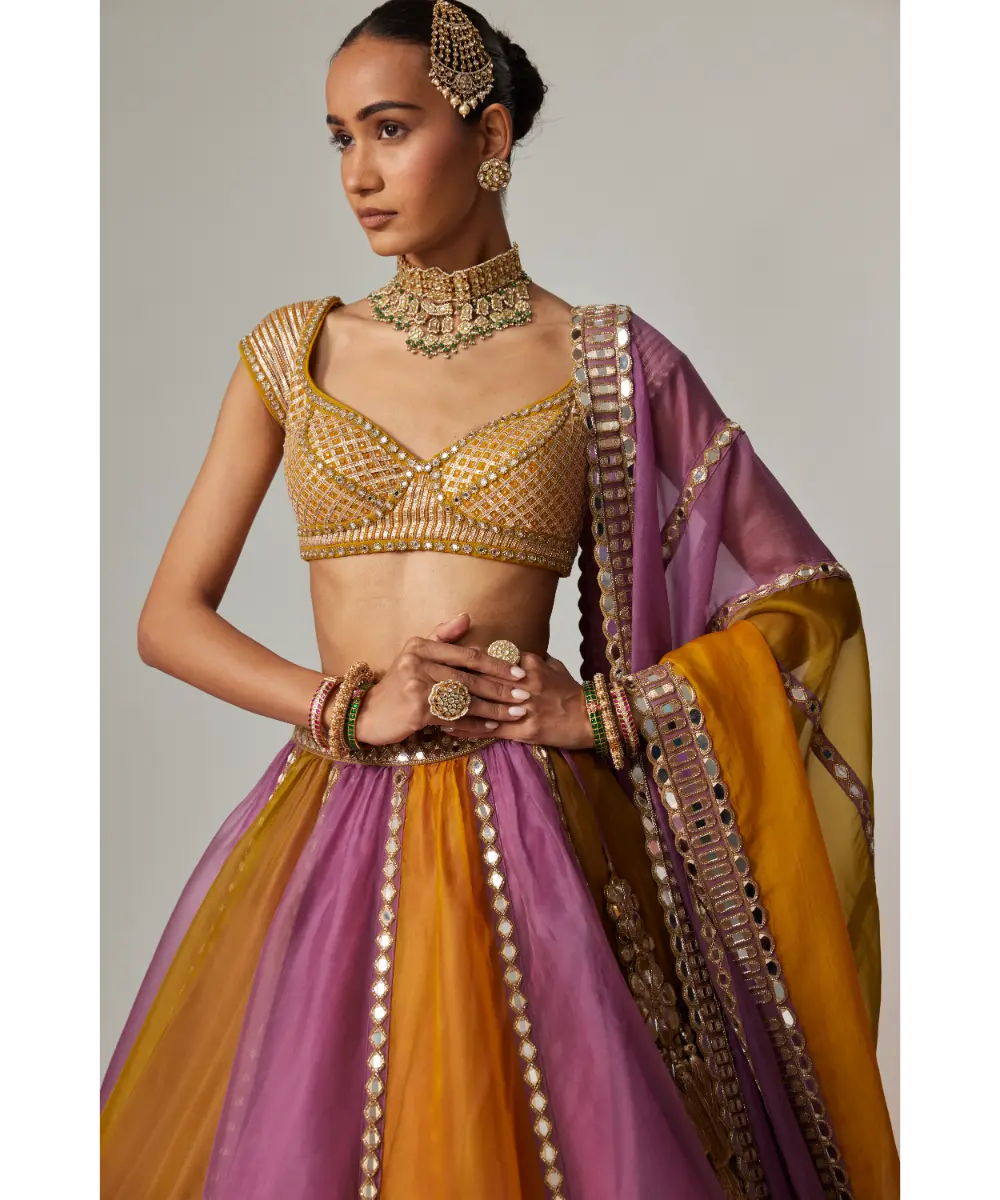 VVANI VATS - Mustard multicolor Liner Lehenga with Cap Sleeve blouse