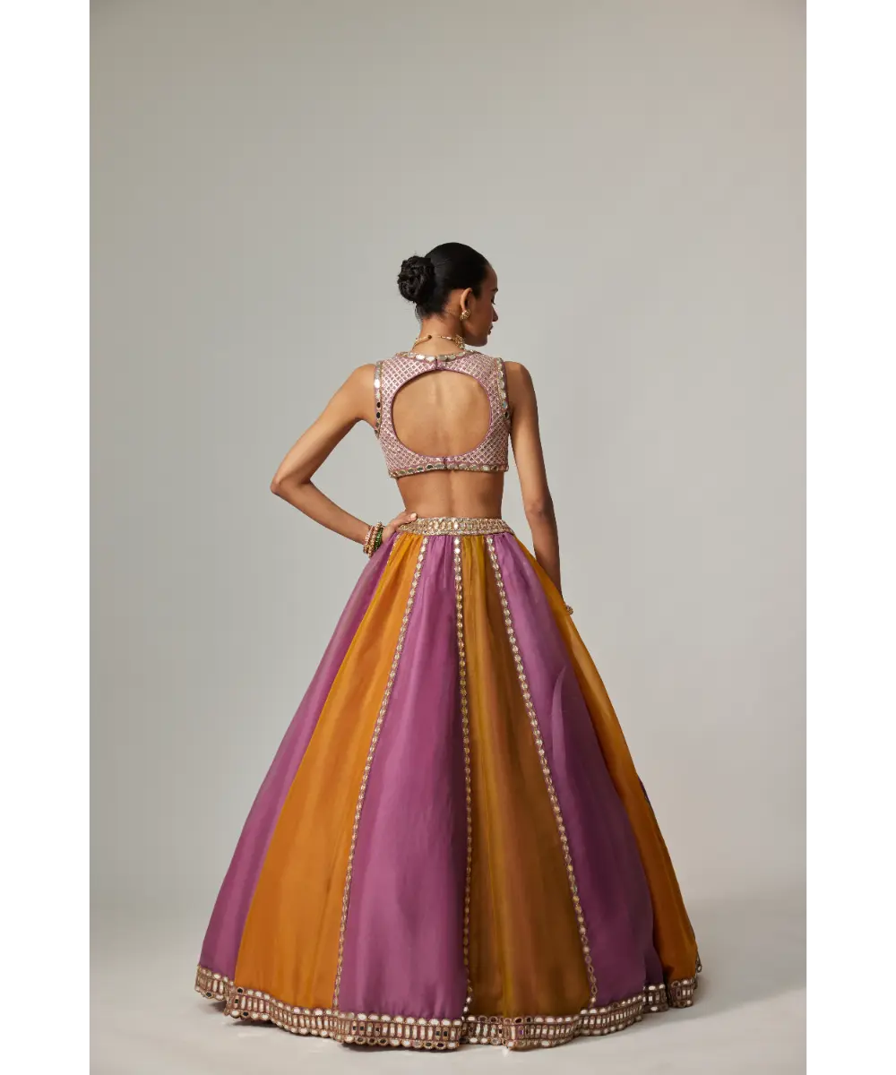 VVANI VATS - Mustard multicolor Linear Lehenga with V Neck Blouse