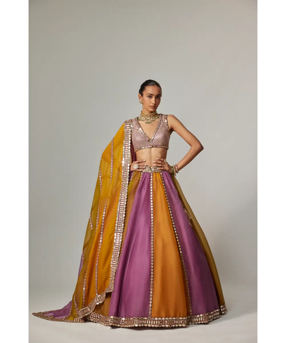 VVANI VATS - Mustard multicolor Linear Lehenga with V Neck Blouse