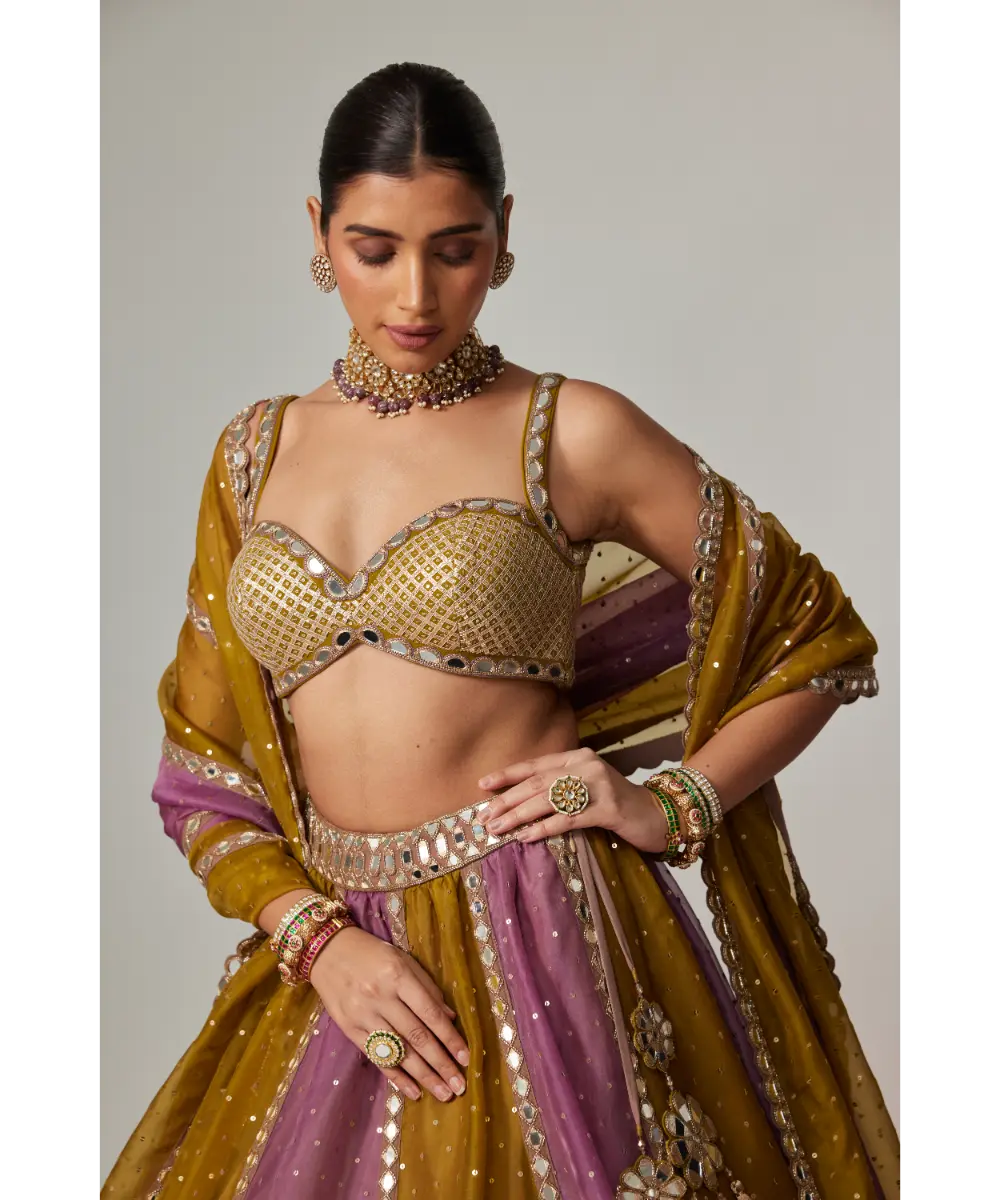 VVANI VATS - Green multicolor Sequin Scatter Lehenga Set