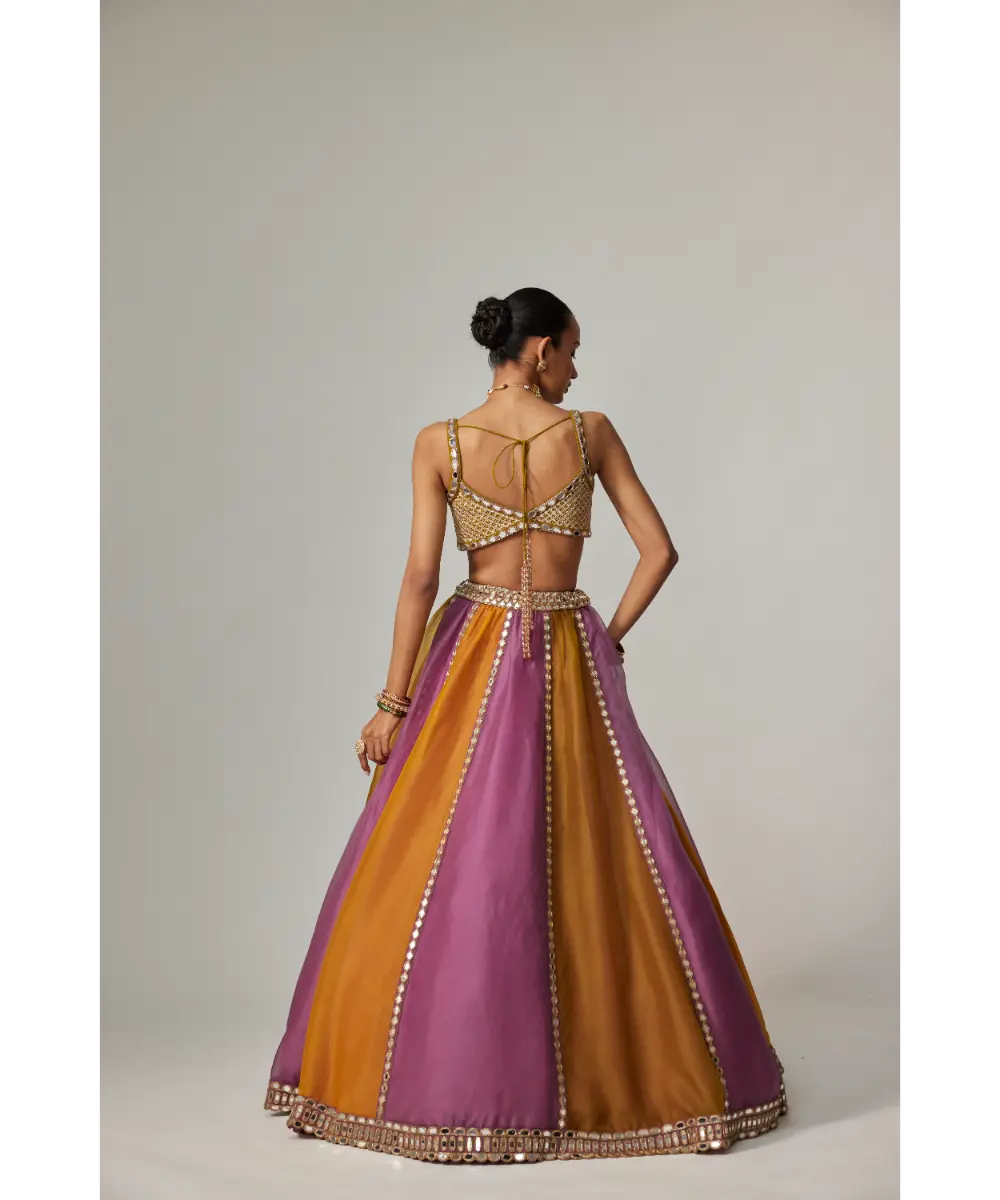 VVANI VATS - Mustard multicolor Linear Lehenga with Sweetheart Neck Blouse